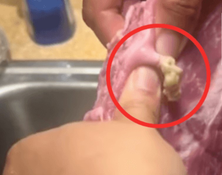 Graphic Video of Pus-filled Cysts Sparks Outrage and Allegations of Animal Cruelty