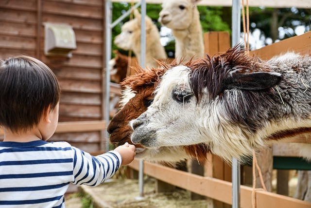 Reports of Animals in Dire Conditions at Roadside Zoo Spark Concerns