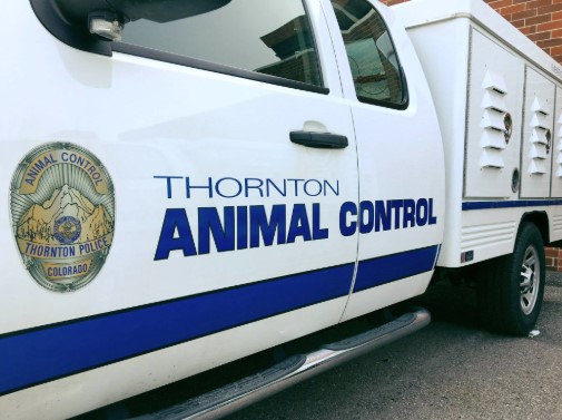 Animal Control Officers See Heartbreaking Abuse Firsthand, Leaving Many Workers Devastated and Frustrated