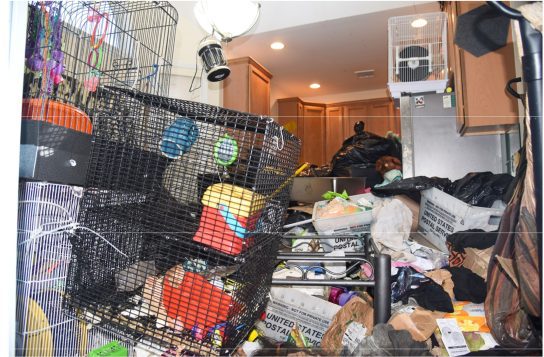 Long Island Woman Charged With Animal Cruelty After Detectives Allegedly Discover 10 Dead Pets in Unlivable Home