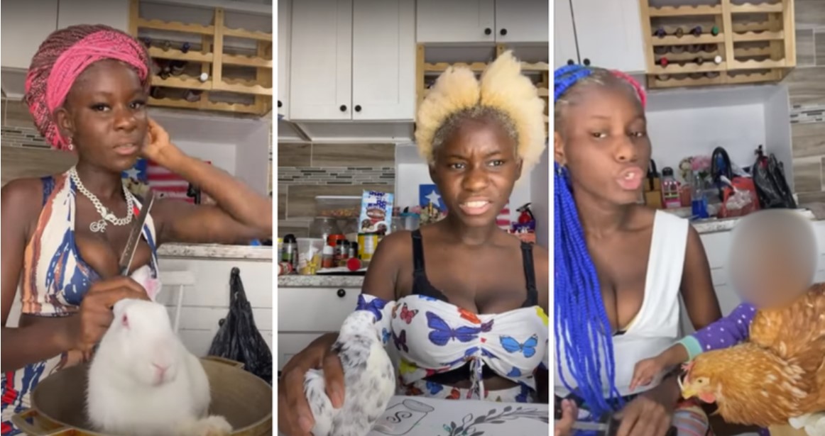 Woman Convicted of Aggravated Animal Cruelty for Allegedly Torturing Small Animals in Graphic YouTube Videos