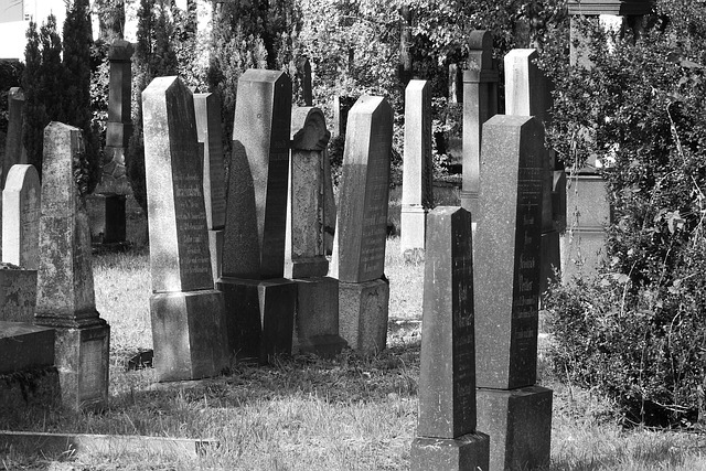 Woman Allegedly Stomps Dog To Death Before Disposing Of Body At Cemetery, Sparks Outrage